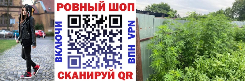 Где продают наркотики Медногорск ГАШИШ  Галлюциногенные грибы  Меф мяу мяу  Alpha PVP 