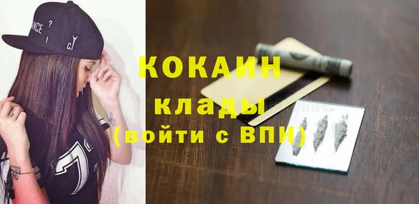 сатива Горняк