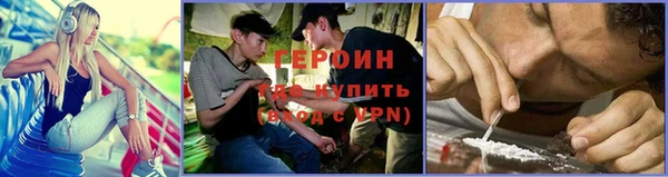 сатива Горняк