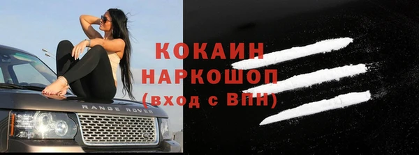 сатива Горняк