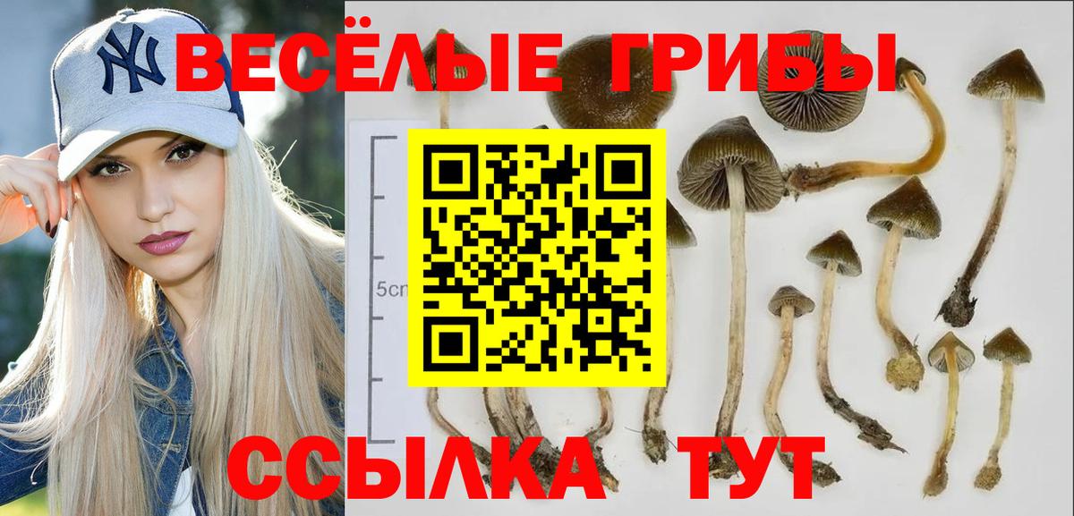 Галлюциногенные грибы мицелий Медногорск