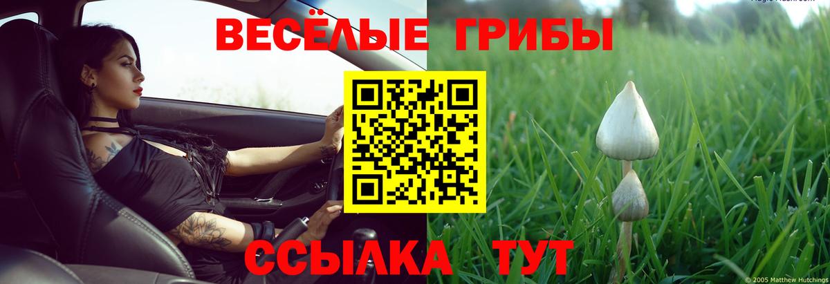 Псилоцибиновые грибы прущие грибы  Вход с VPN  Псилоцибиновые грибы Cubensis  Медногорск 