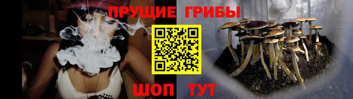 Псилоцибиновые грибы ЛСД Медногорск