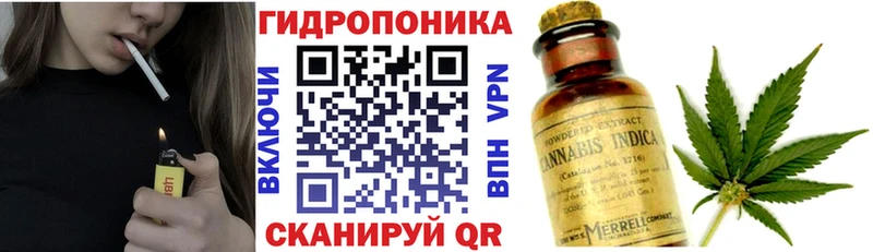 Бошки марихуана марихуана  Медногорск 